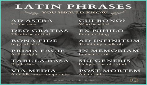 A Profile Of A Latin Beauty