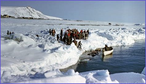 The Ocean Has Sprung A Leak And The Consequences Will Be A Disaster