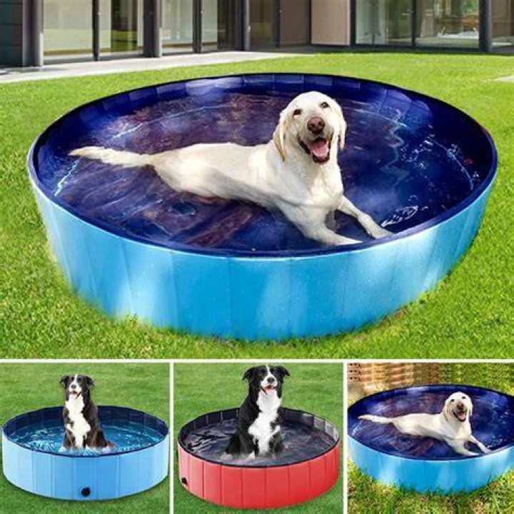 Are paddling pools good for dogs?