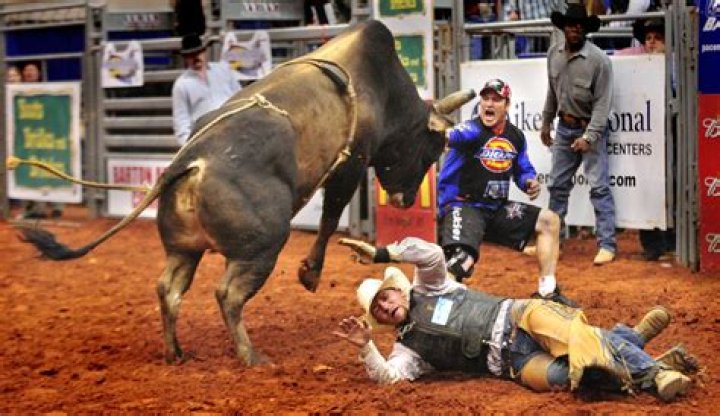Chris Shivers Bio, Wiki, Age, Height, Family, Wife, Bull Riding Accidents, and Net Worth