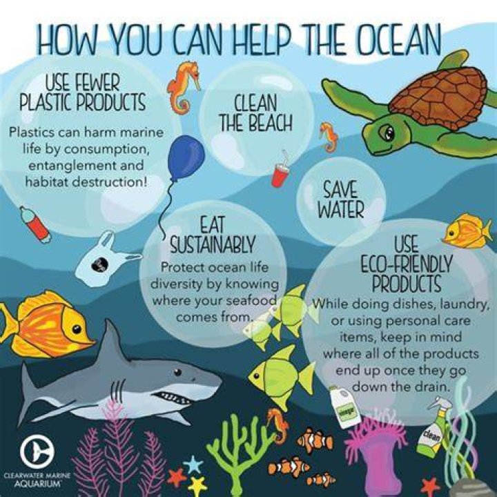 How can we conserve marine resources?