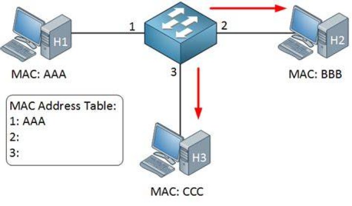 How does a switch learn MAC addresses quizlet?