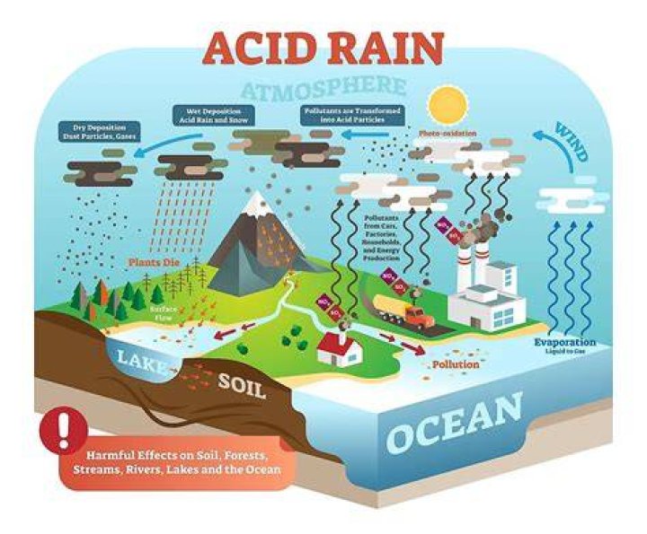 How does Acid Rain interact with marble?