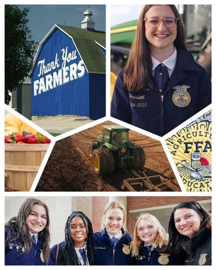 How many girls are in FFA?