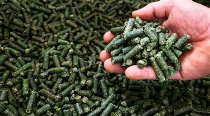 How much nitrogen is in alfalfa pellets?