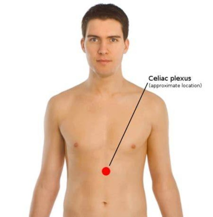 Is solar plexus a medical term?