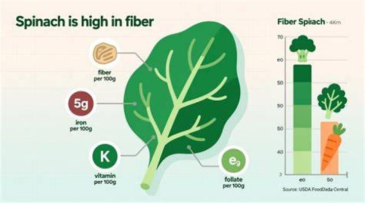 Is spinach a fiber food?