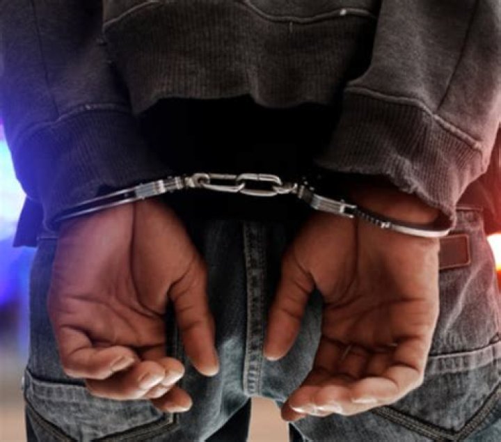 Jeffrey J. Mims Jr Daughter LaDawn Mims Arrested: DUI Charges