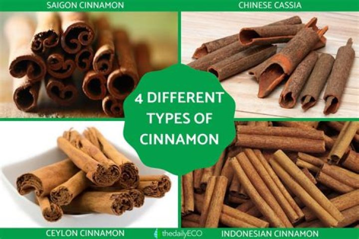 What are the different types of cinnamon?
