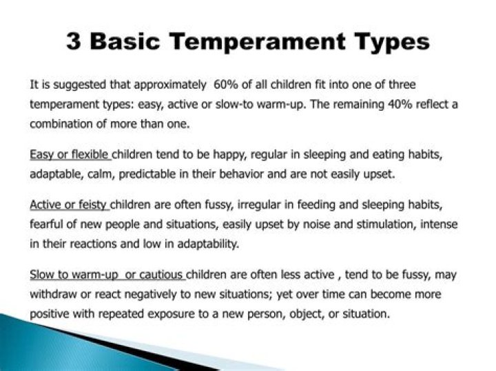 What are the four categories of temperament suggested by the New York?