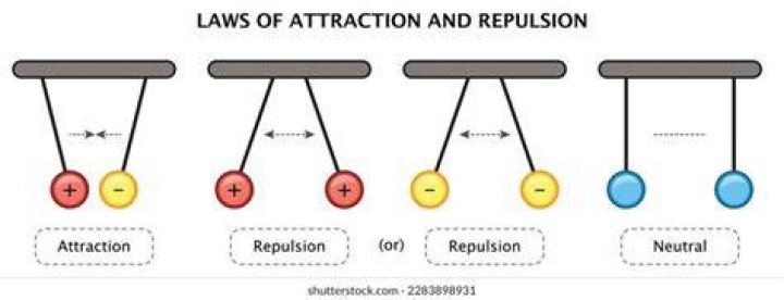 What are the rules of attraction and repulsion?
