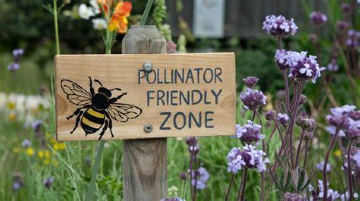 What does bee friendly mean?