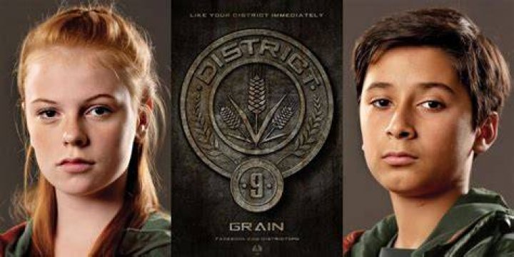 What does District 9 do in The Hunger Games?