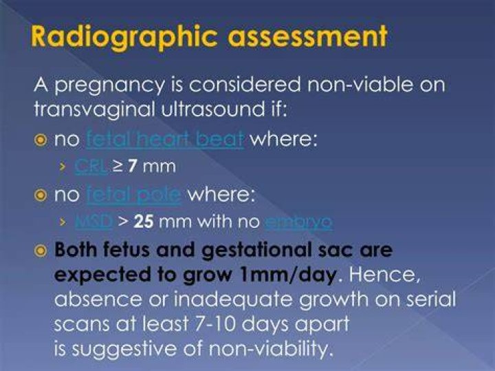 What does OB mean on an ultrasound?