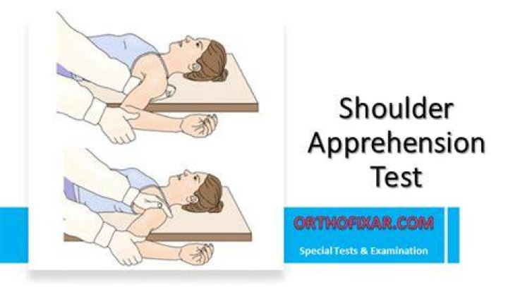 What does the anterior apprehension test determine?