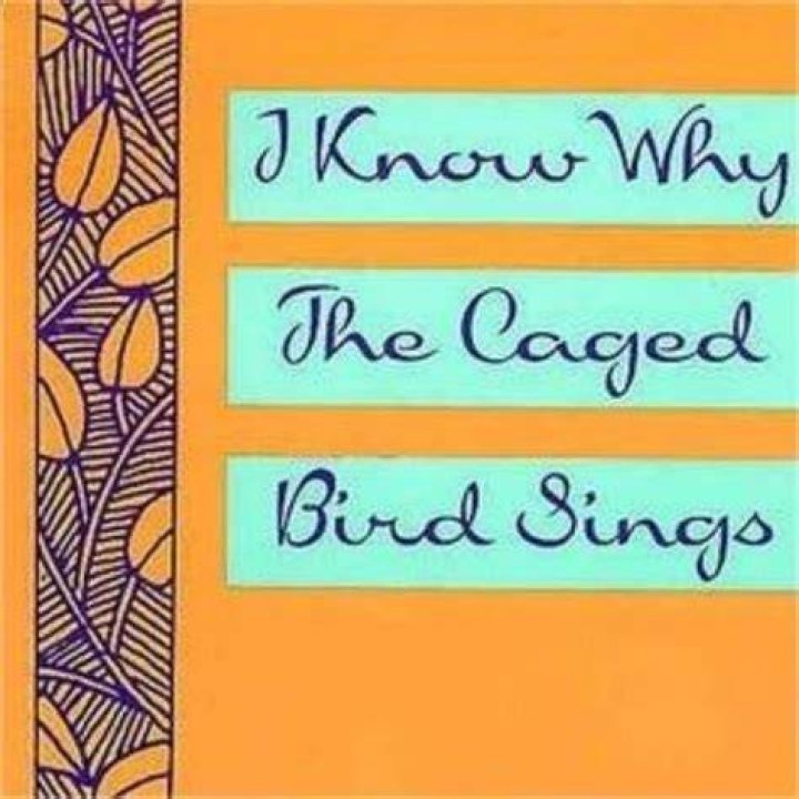 What happened in I Know Why the Caged Bird Sings?