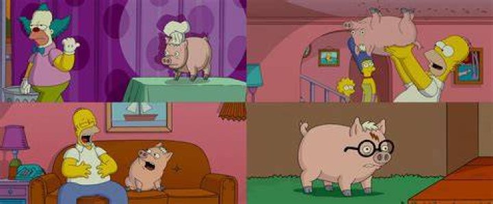 What happens to the pig in the Simpsons movie?