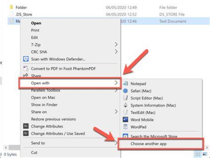What is a file format that an application can always open?
