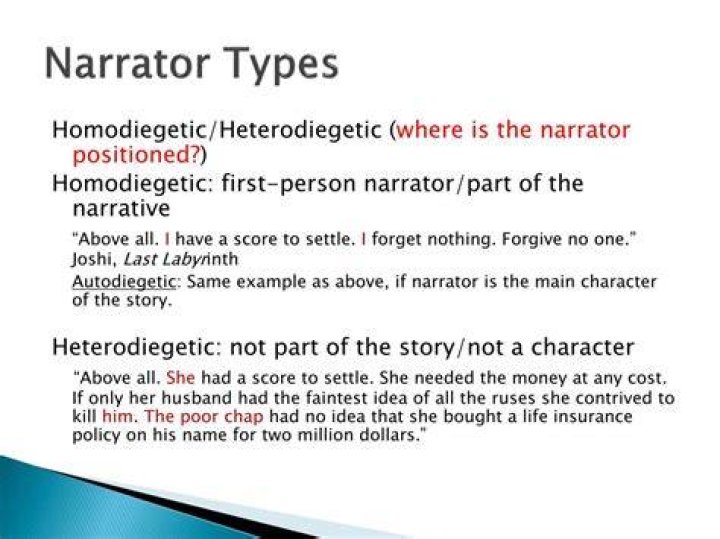 What is a Heterodiegetic narrator?