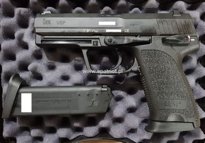 What is a USP standard?