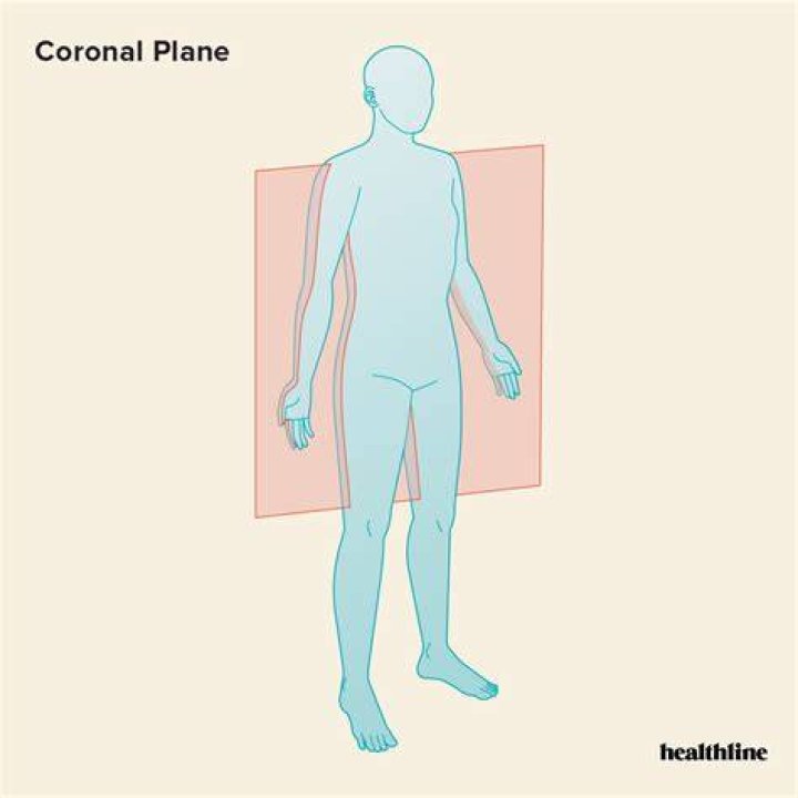 What is coronal plane anatomy?