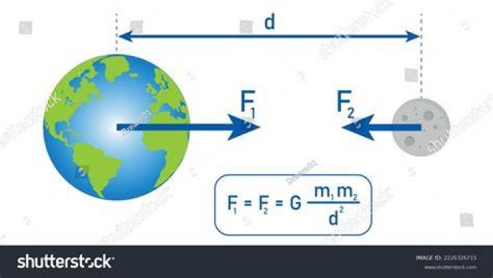 What is smaller than a Newton?