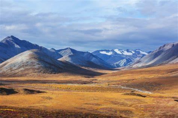 What is the climate like in a tundra?