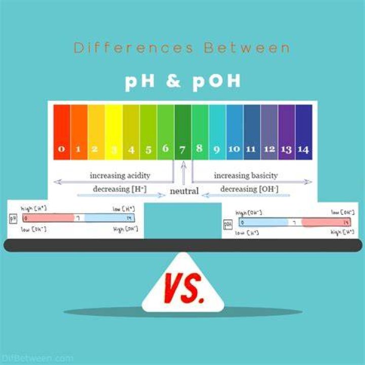 What is the difference between pH and pOH?