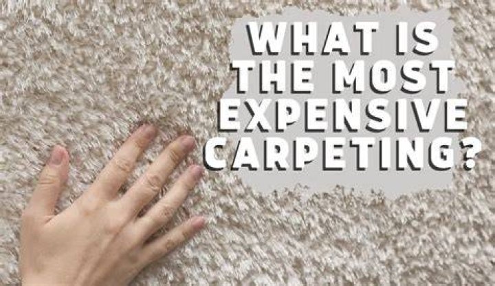 What is the least expensive type of carpet?