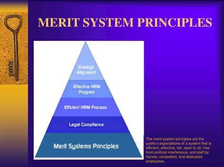 What is the merit system principles?
