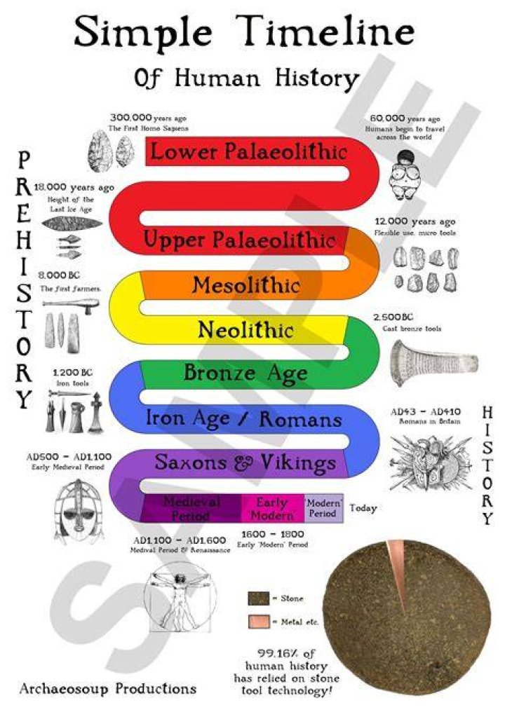 What is the timeline of human history?