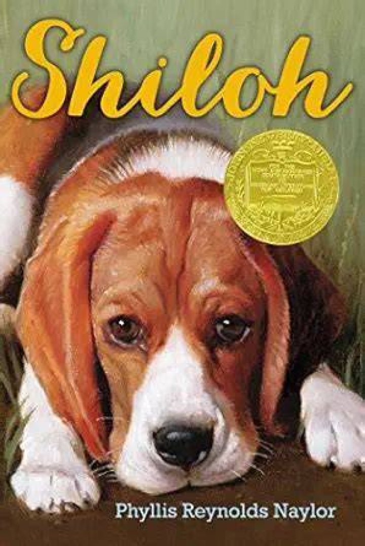What reading level is Shiloh?