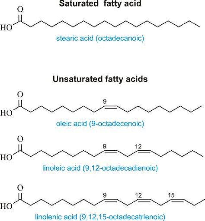 Which is a saturated fatty acid?
