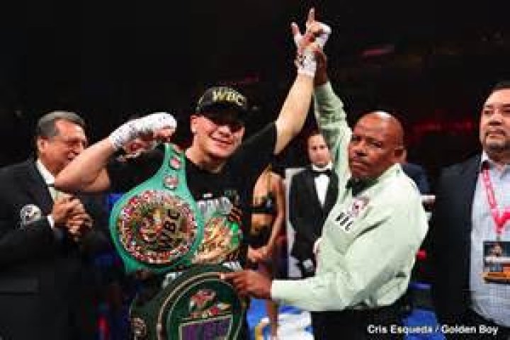 Who Are Vergil Ortiz Jr Parents Vergil Ortiz Sr. and Mela Reveles? Boxer Family Background And Origin Detailed