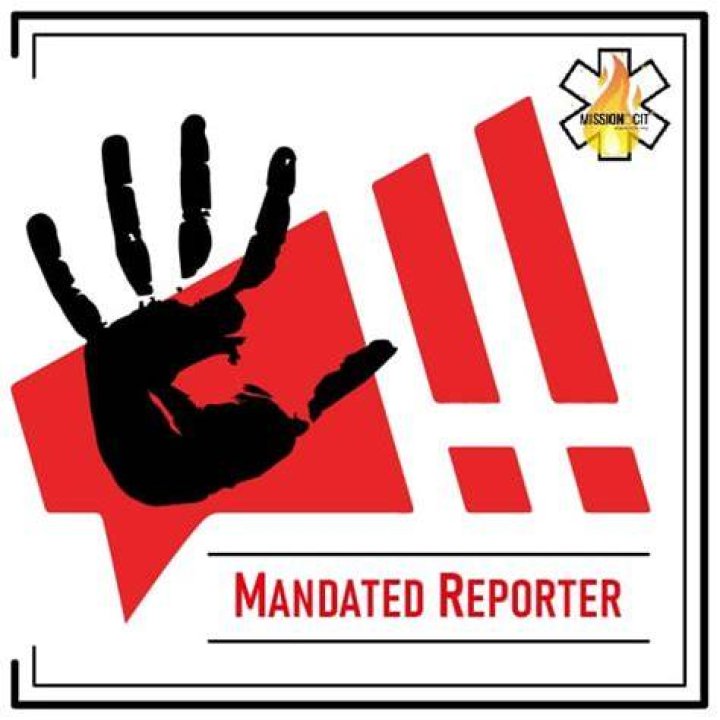 Who is a mandated reporter in DC?